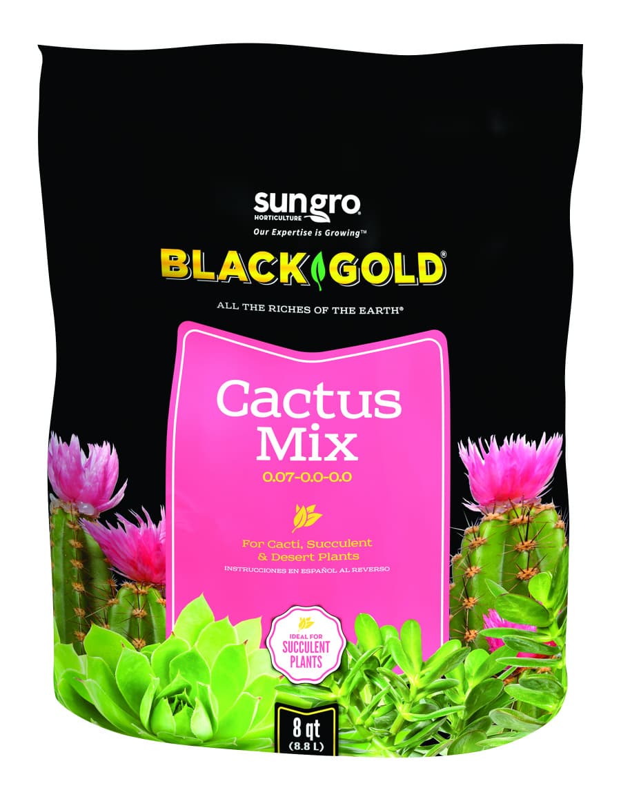 Black Gold cactus mix potting soil