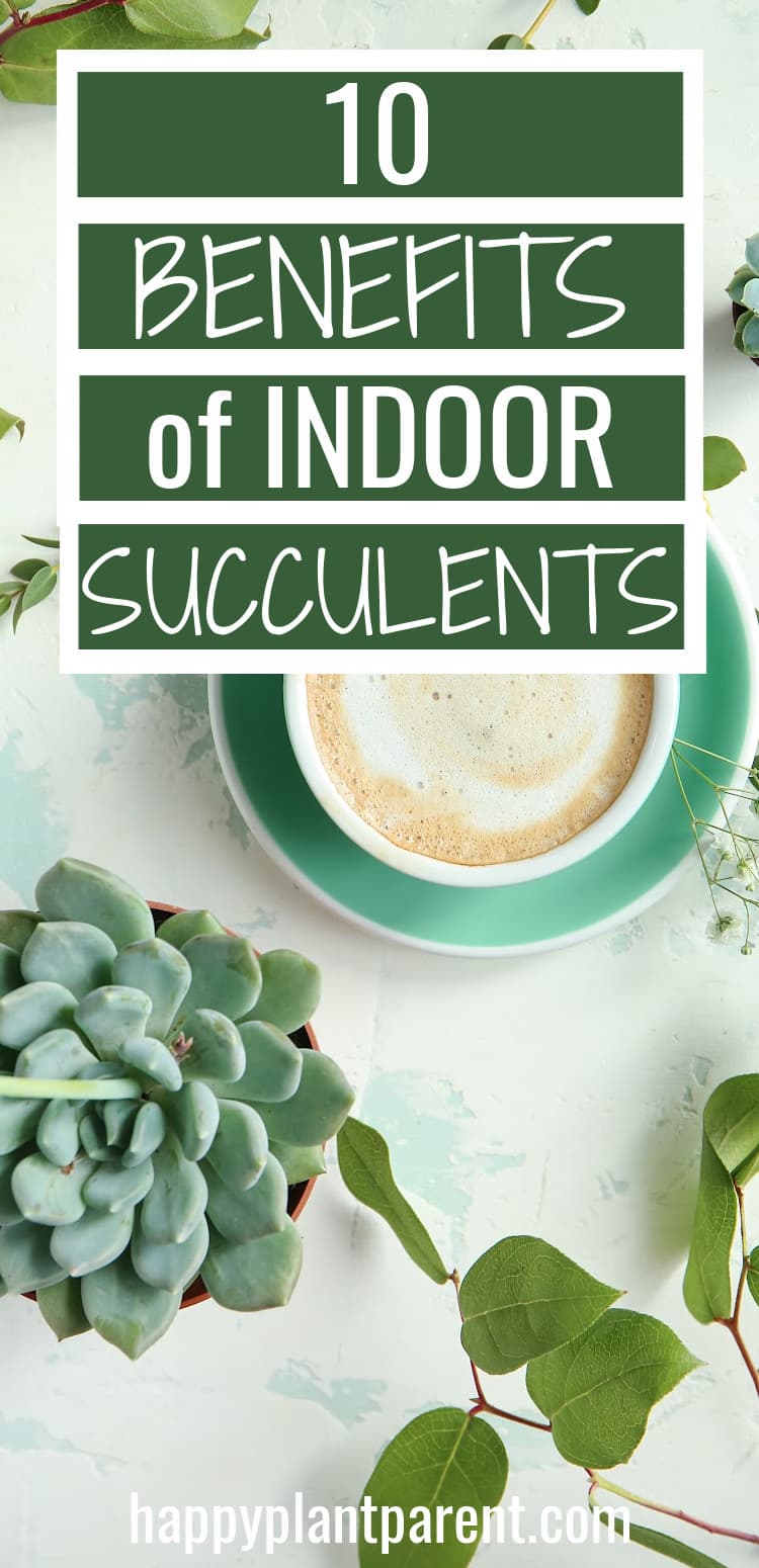 Pinterest pin for 10 benefits of indoor succulents post