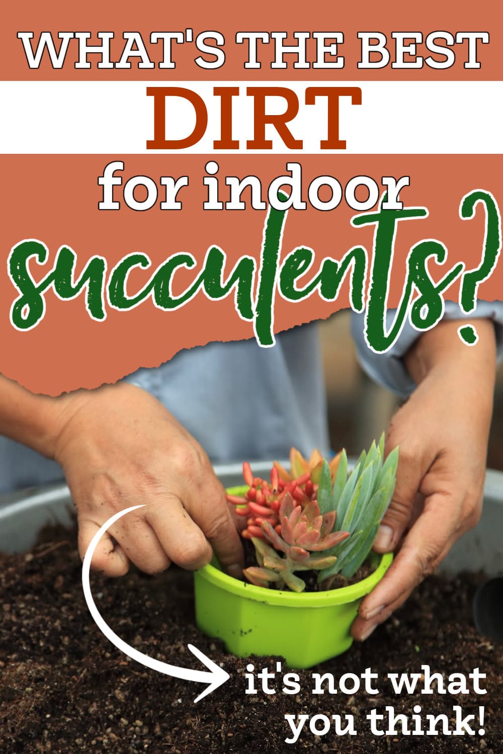 Pinterest pin for best dirt for indoor succulents post