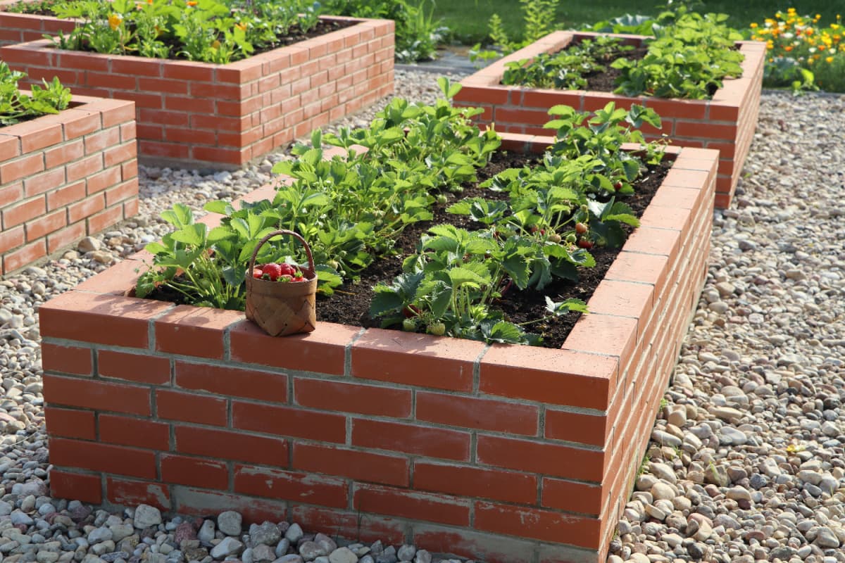a red brick raised bed garden with vegetables growing inside