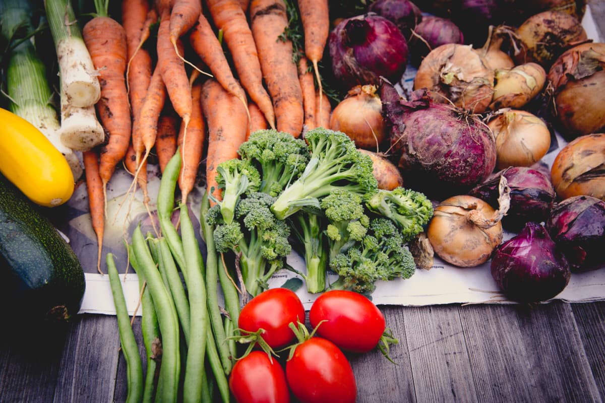 a bounty of vegetables grown in the garden