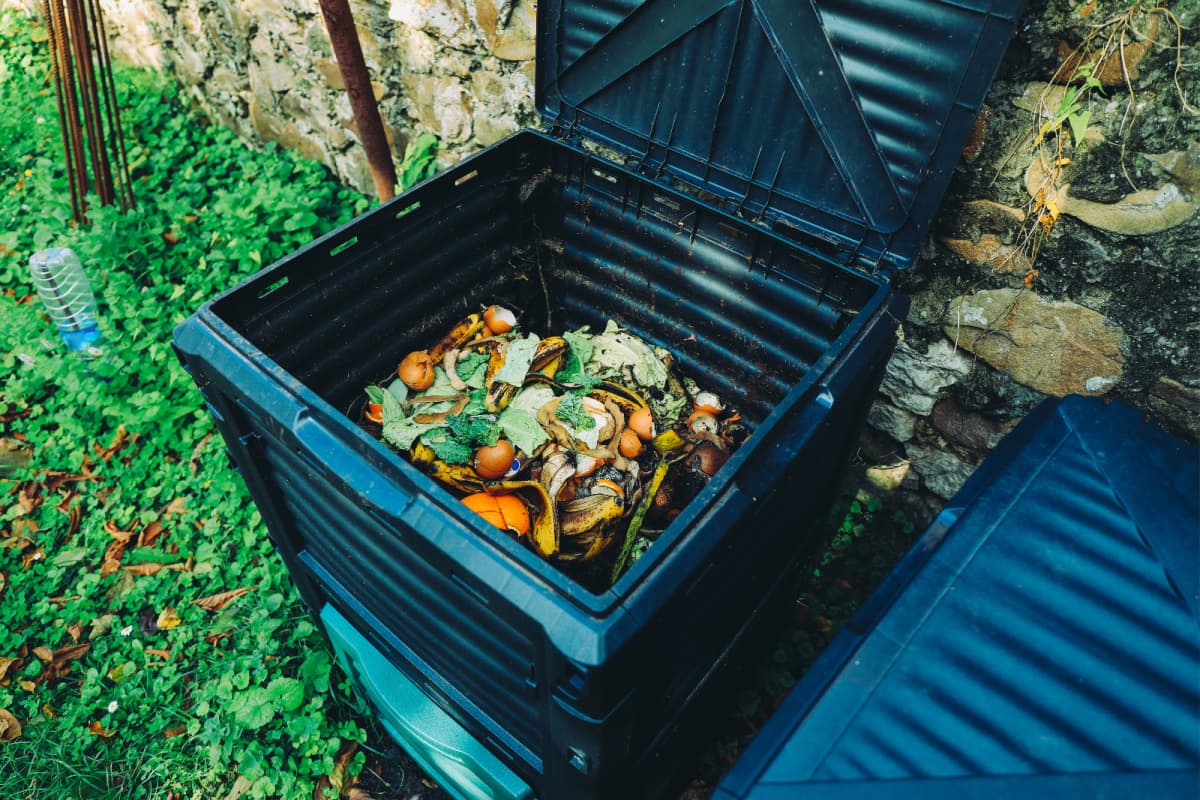 compost bin full of veggie scraps