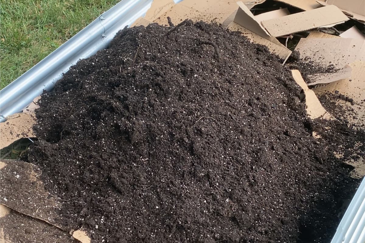 putting soil on top of cardboard in a raised bed garden